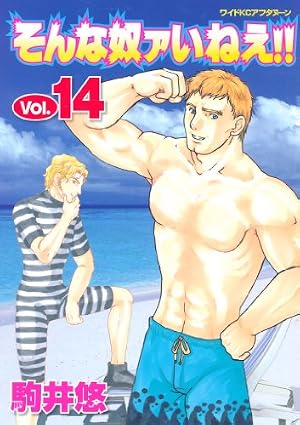 そんな奴ァいねえ！！（1） (アフタヌーンコミックス) | 駒井悠
